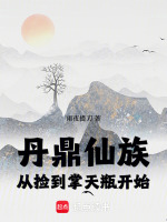 小说《丹鼎仙族，从捡到掌天瓶开始》封面