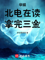 小说《北电在读明星有谁》封面