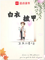 小说《白衣披甲》封面