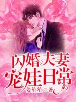 小说《闪婚夫妻宠娃日常》封面