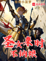 小说《圣女来时不纳粮》封面