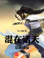 小说《混在诸天,功德成仙》封面