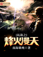 小说《抗战之烽火漫天第246章》封面