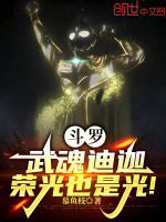 小说《斗罗大陆之我的武魂是迪迦》封面