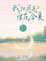 小说《我把月光埋在今夏》封面