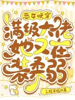 小说《恶女快穿：满级大佬她又在装柔弱》封面