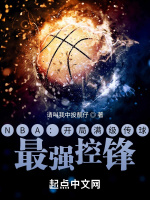 小说《NBA：开局满级传球，最强控锋》封面