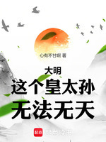 小说《大明：这个皇太孙无法无天》封面