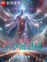 小说《元宇宙进化》封面