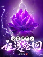 小说《完美世界之证道轮回》封面