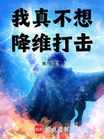 小说《我真不想降维打击》封面
