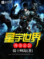 小说《星宇世界传奇公会》封面