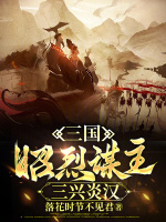 小说《三国：昭烈谋主，三兴炎汉》封面