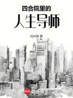 小说《四合院里的人生导师》封面