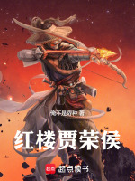 小说《红楼贾荣侯》封面