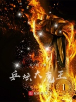 小说《乒坛大魔王》封面