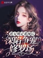 小说《恶女绑定系统后，深陷争宠修罗场》封面