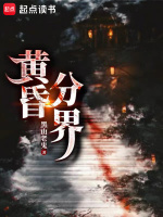 小说《黄昏分界》封面