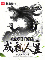小说《从气运词条开始成就人皇》封面