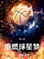 小说《重燃球星梦》封面