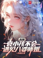 小说《龙族：衰小孩不会遇见八婆师姐》封面