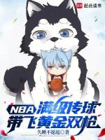 小说《NBA：满级传球，带飞黄金双枪》封面