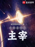 小说《吞噬星空之主宰》封面