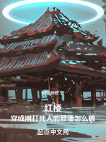 小说《红楼：穿成刚打死人的薛潘怎么破》封面