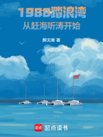 小说《1988踏浪湾，从赶海听涛开始》封面