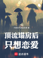 小说《顶流塌房后只想恋爱》封面