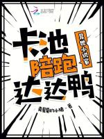 小说《异世小说家，卡池陪跑达达鸭》封面