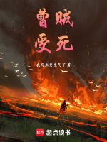 小说《曹贼，受死！》封面