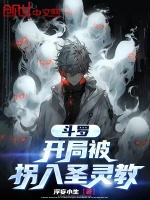 小说《斗罗：开局被拐入圣灵教》封面