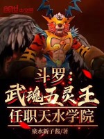 小说《斗罗：武魂五灵王，任职天水学院》封面