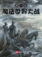 小说《第一次魔法世界大战》封面