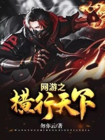 小说《网游之横行天下》封面