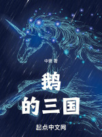 小说《鹅的三国》封面