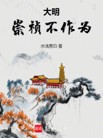 小说《大明：崇祯不作为》封面