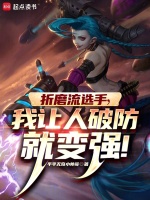 小说《LOL：什么叫折磨流选手啊！》封面