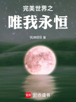 小说《完美世界之唯我永恒》封面