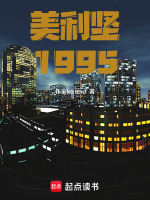 美利坚1995小说封面