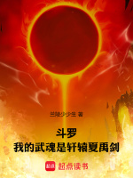 小说《斗罗：我的武魂是轩辕夏禹剑》封面