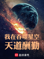 小说《我在吞噬星空天道酬勤》封面