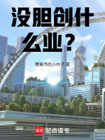 小说《没胆创什么业？》封面