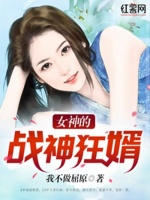 小说《女神的战神狂婿》封面