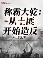 小说《称霸大乾：从土匪开始造反》封面