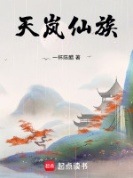 小说《天岚仙族》封面